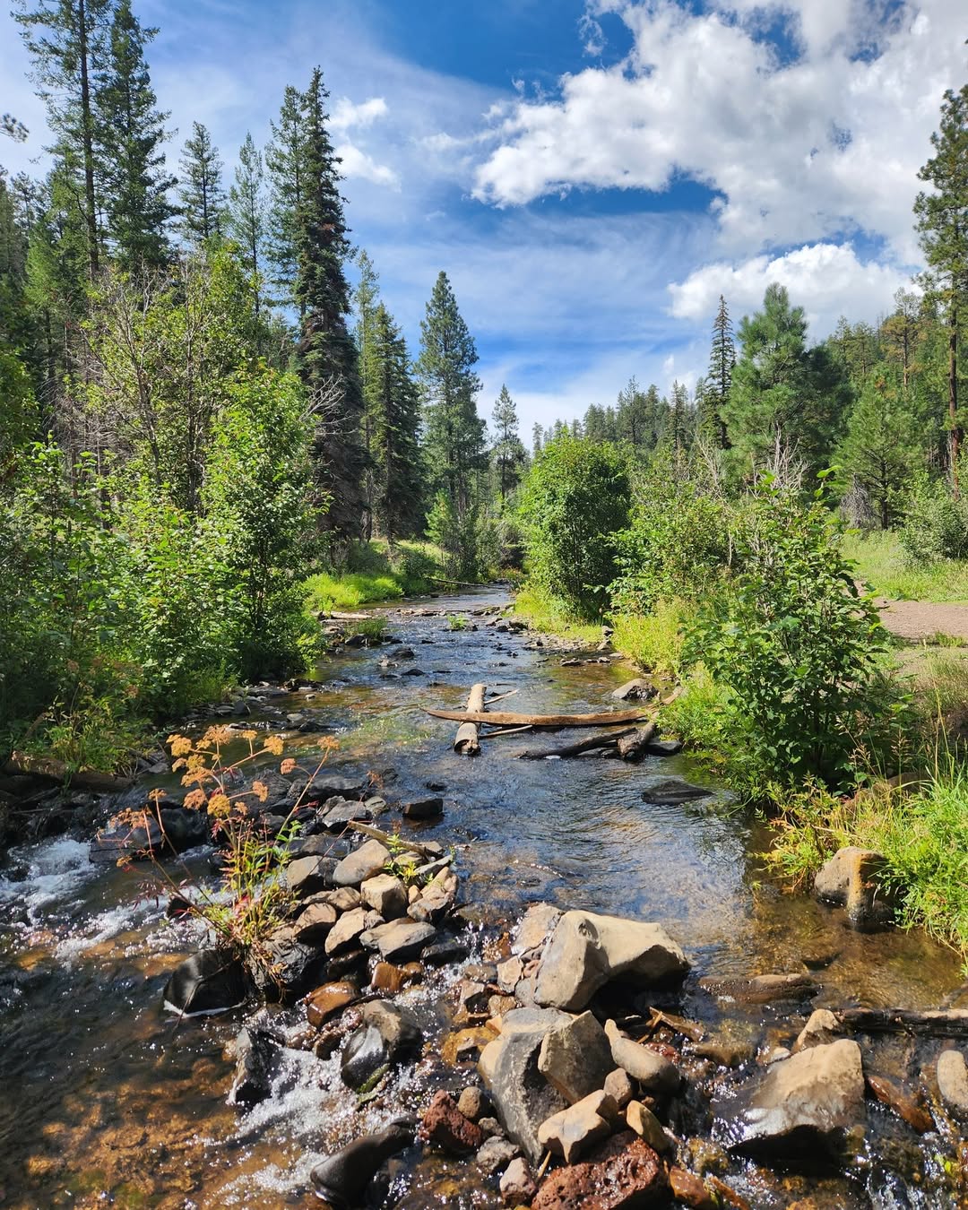 East Fork of the White River