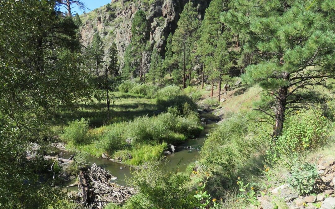 Hall Creek