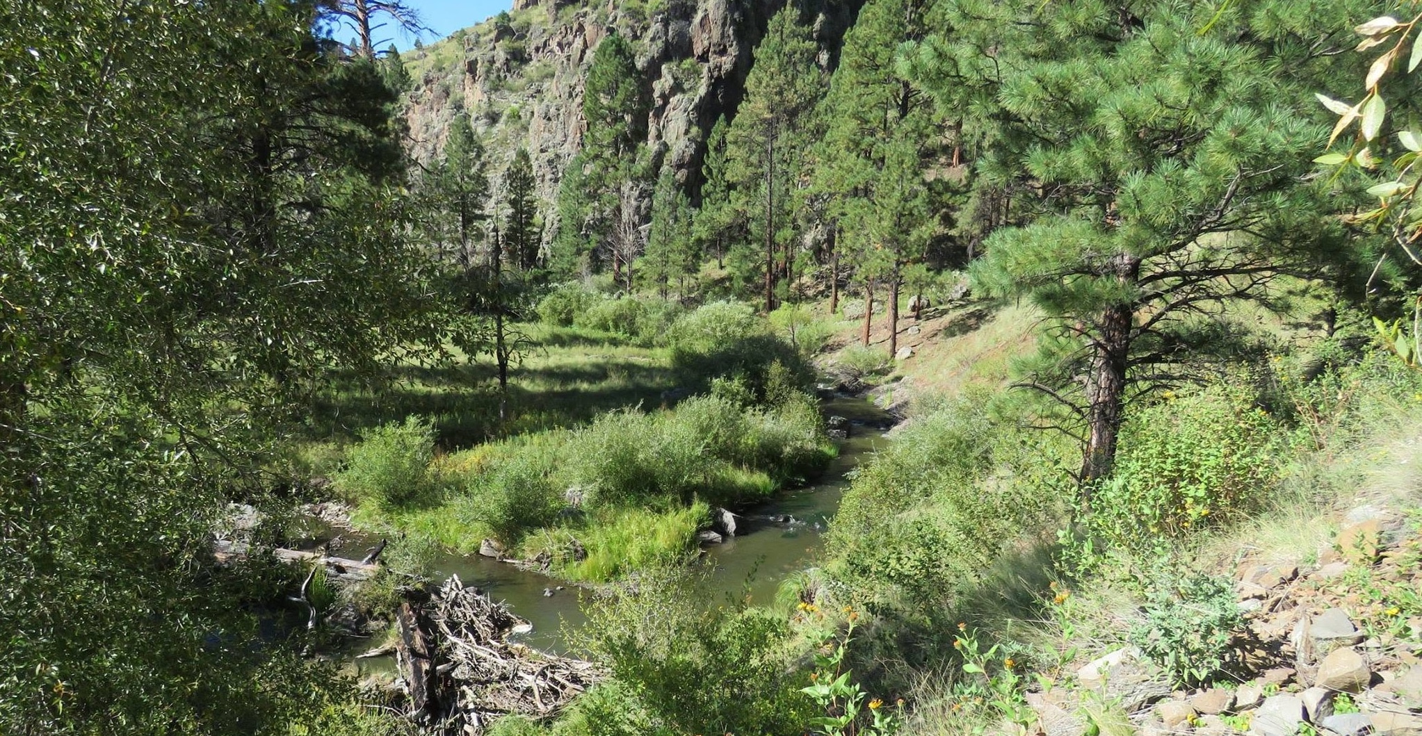 Hall Creek