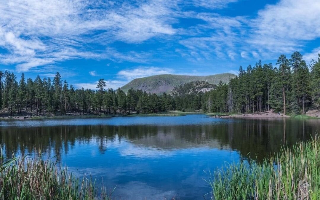 Hulsey Lake