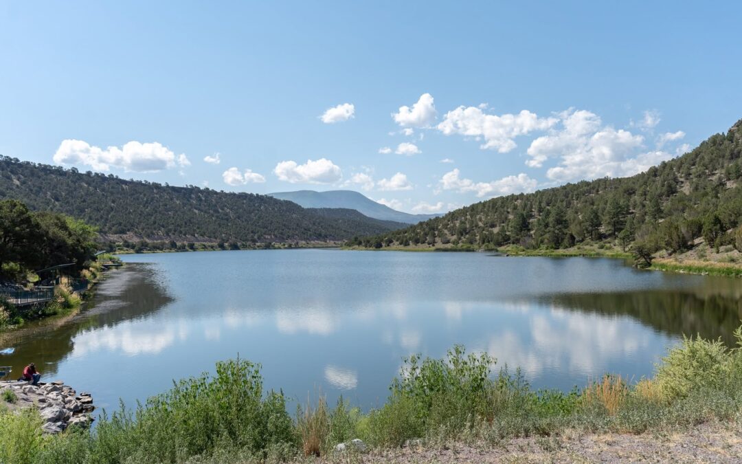 Nelson Reservoir