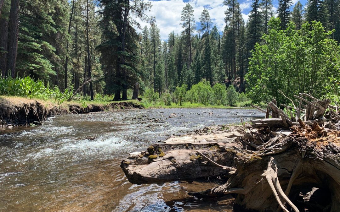 North Fork of the White River
