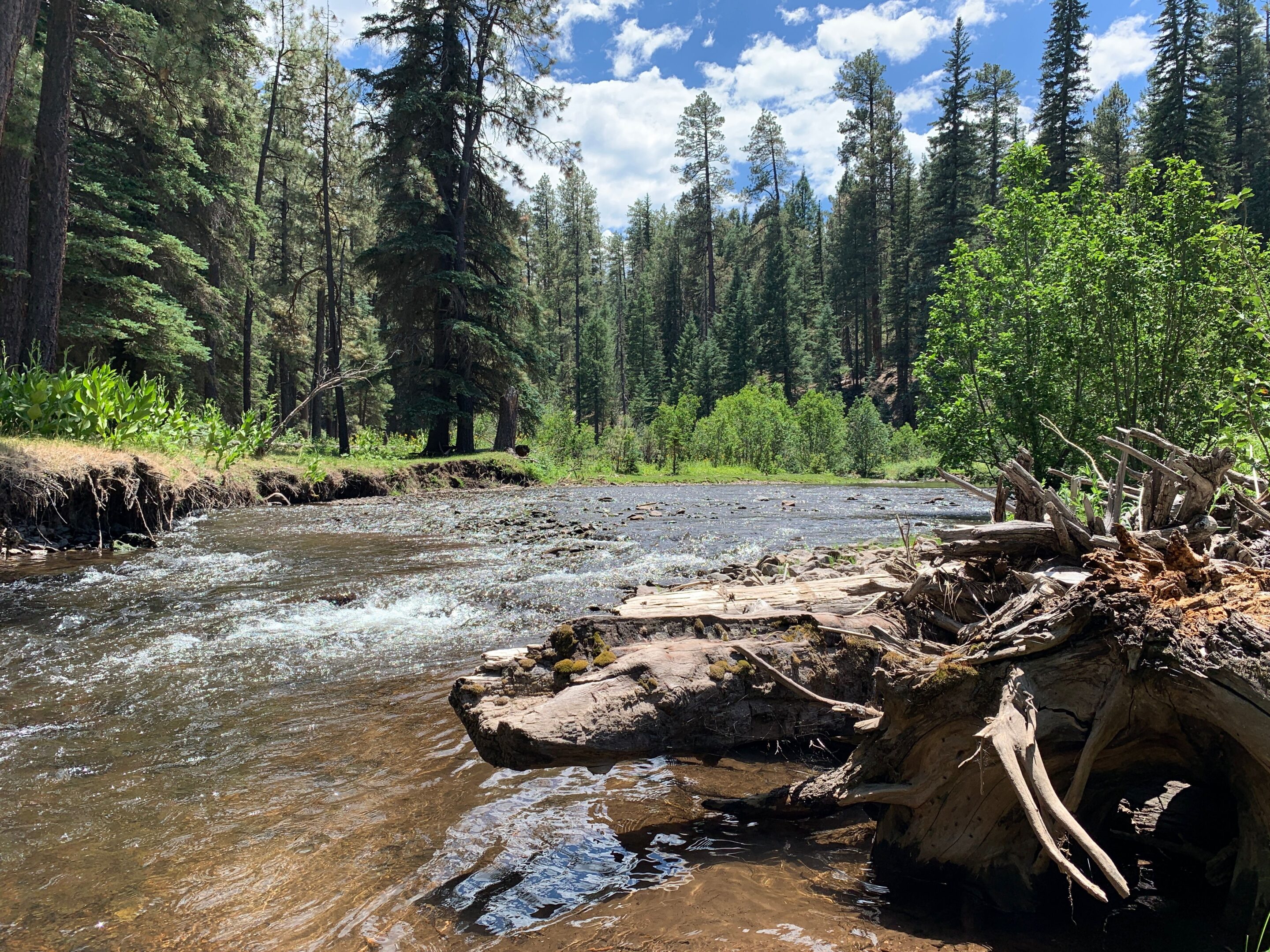North Fork of the White River