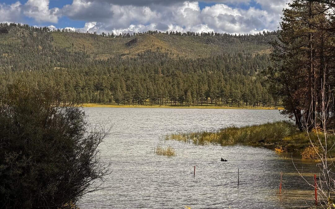 River Reservoir