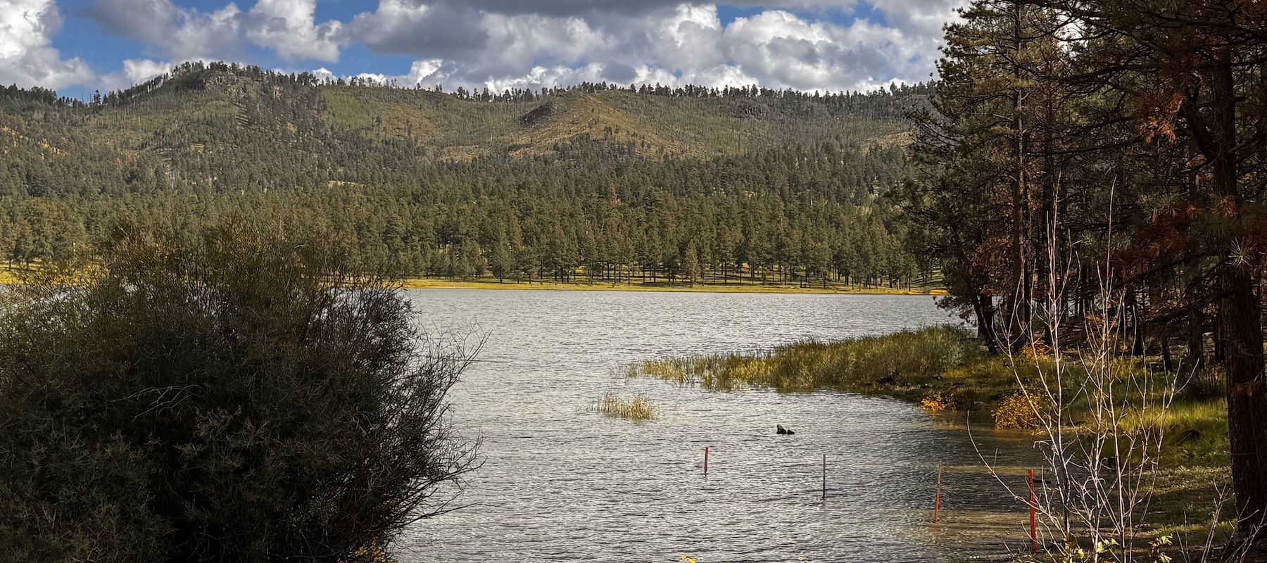 River Reservoir - Greer Arizona
