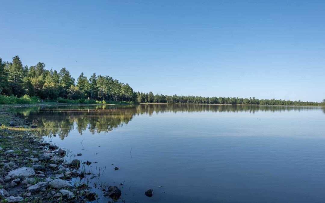 Scott Reservoir