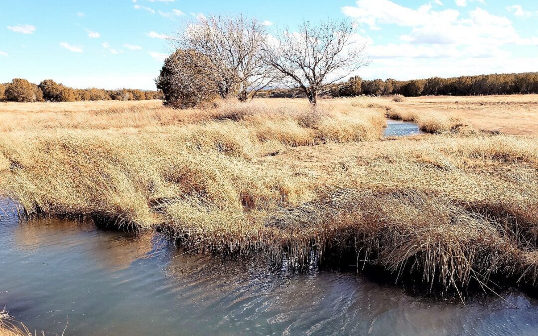 Silver Creek