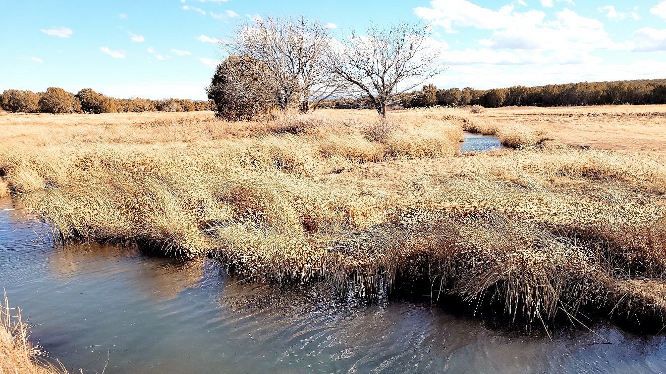 Silver Creek