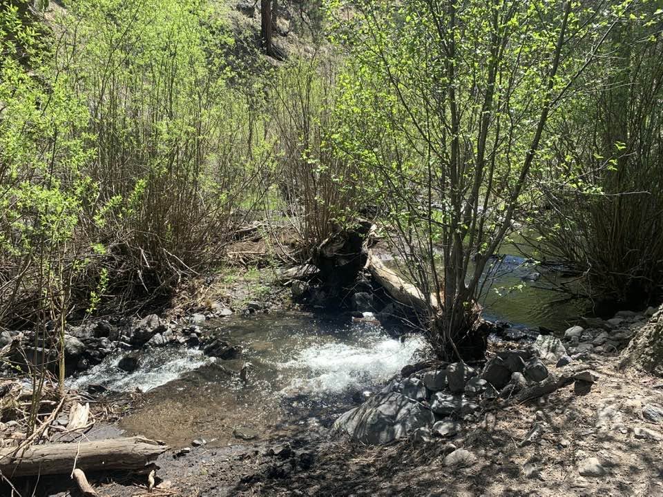 South Fork of the Little Colorado River