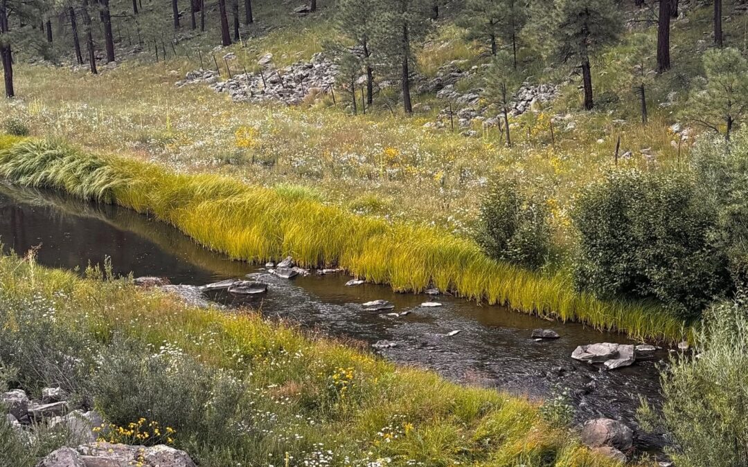 West Fork of the Black River