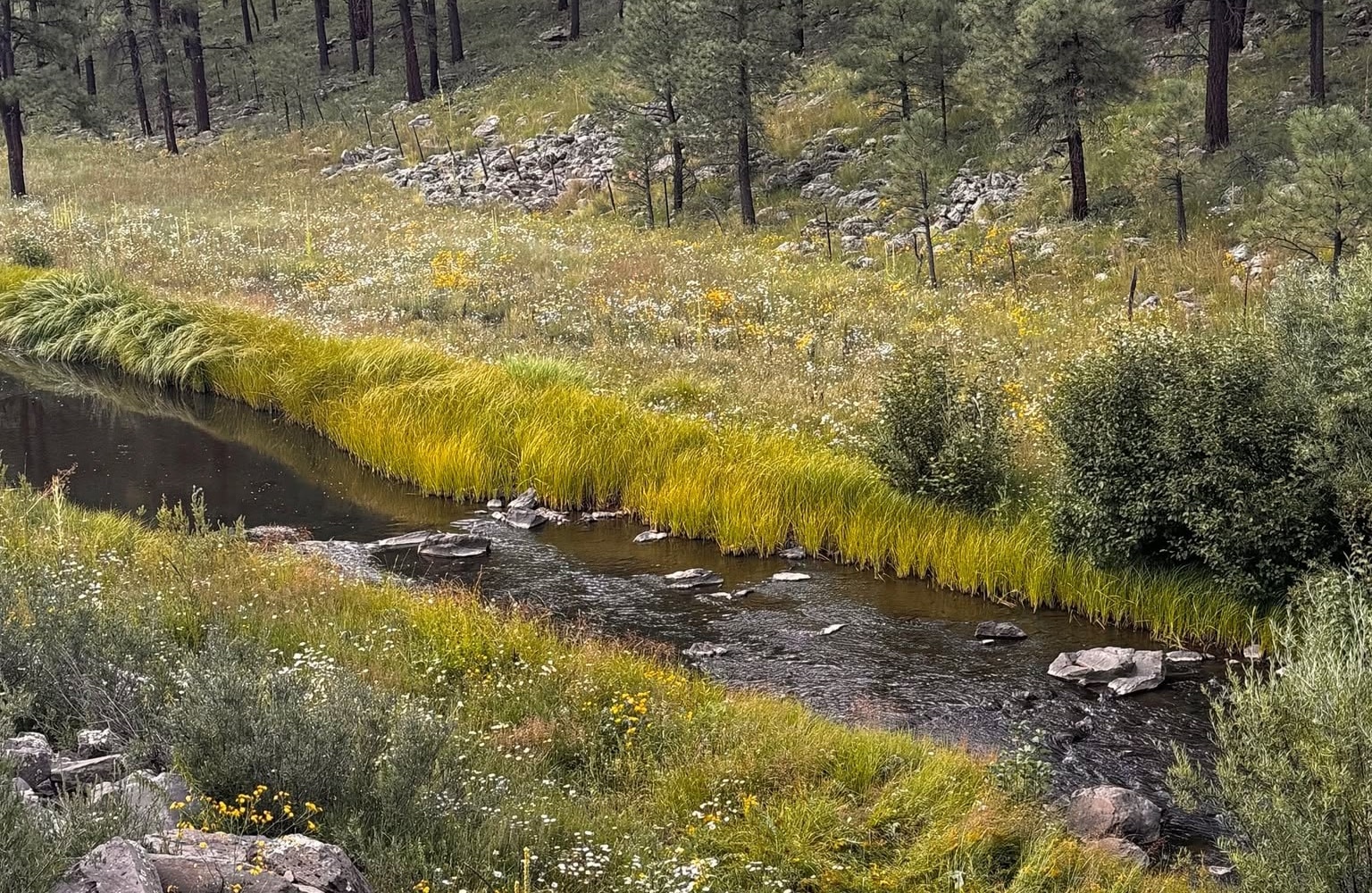 West Fork of the Black River