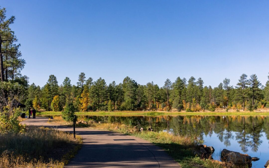 Woodland Lake