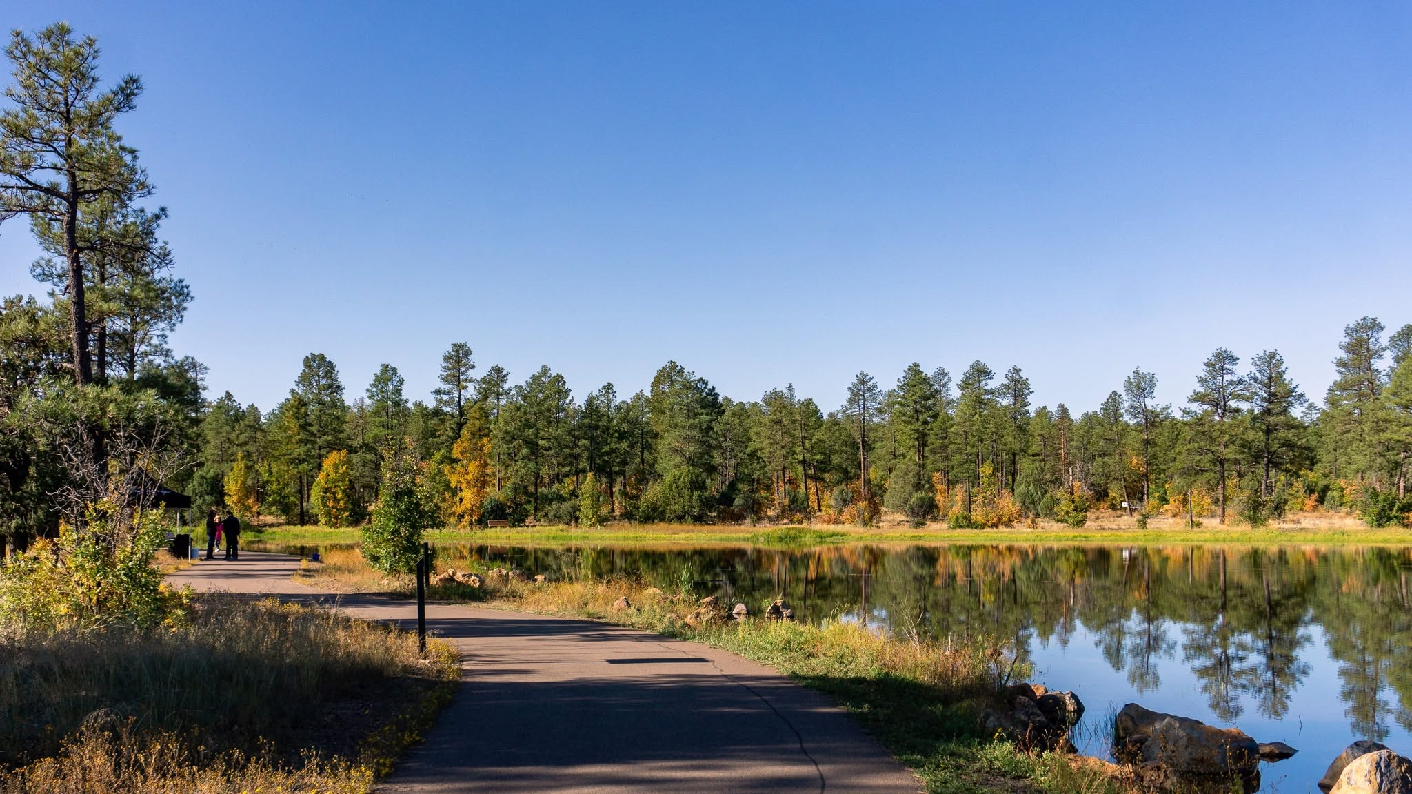 Woodland Lake